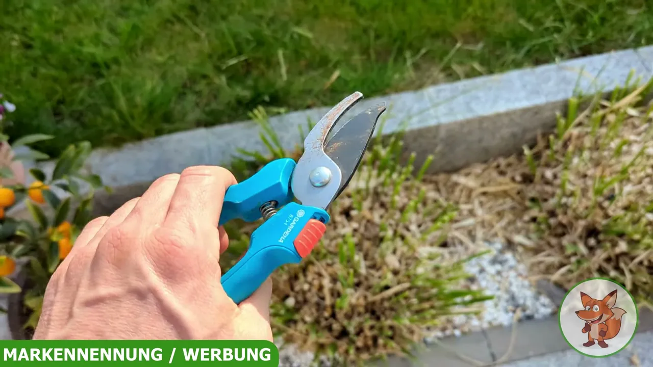 In meinem Test schneidet die Klinge aus rostfreiem Edelstahl junge Triebe und kleine Äste besonders zuverlässig.