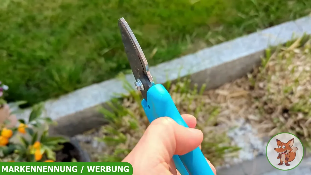 Mir gefällt das schlanke Profil der Schere, da sie dadurch im Vergleich zu anderen Modellen spürbar leicht ist.