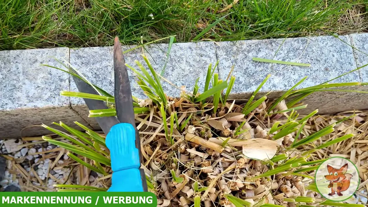 In meinem Test gelingt das Schneiden von Gräsern und Rasenkanten an Steinbeeten mühelos und exakt.