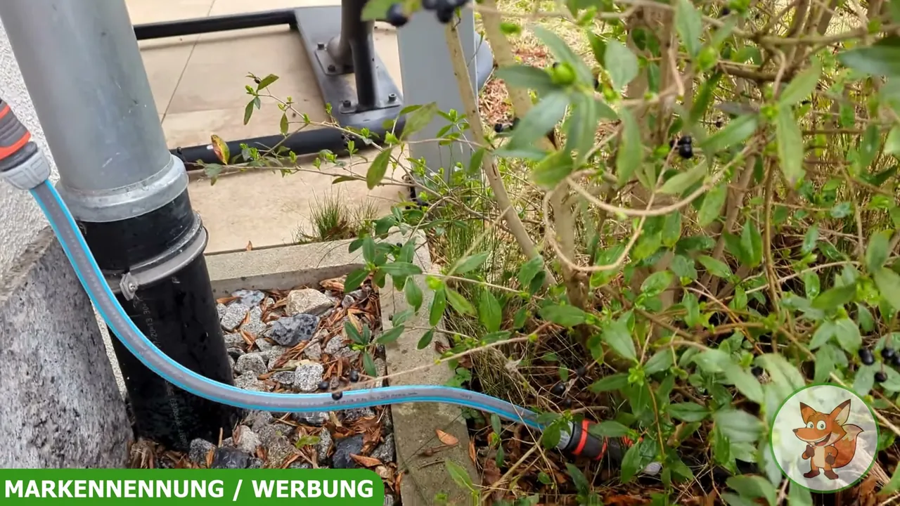 Ich finde die Zuleitung über den normalen Gartenschlauch direkt ins Heckenbeet sehr einfach und unkompliziert gelöst.