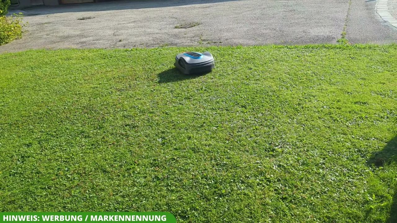 Aus meiner Sicht sorgt der Sileno City auf bis zu 600 m² zuverlässig für ein stets gepflegtes Schnittbild.