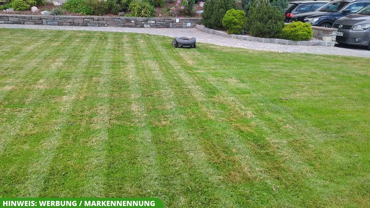 Meiner Meinung nach bewältigt der Mähroboter selbst weitläufige Gärten und anspruchsvolles Gelände absolut mühelos.