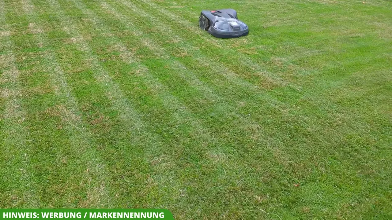 Mir gefällt das saubere Schnittbild auf der Rasenfläche richtig gut, das der Automower zuverlässig hinterlässt.